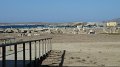Delos 37